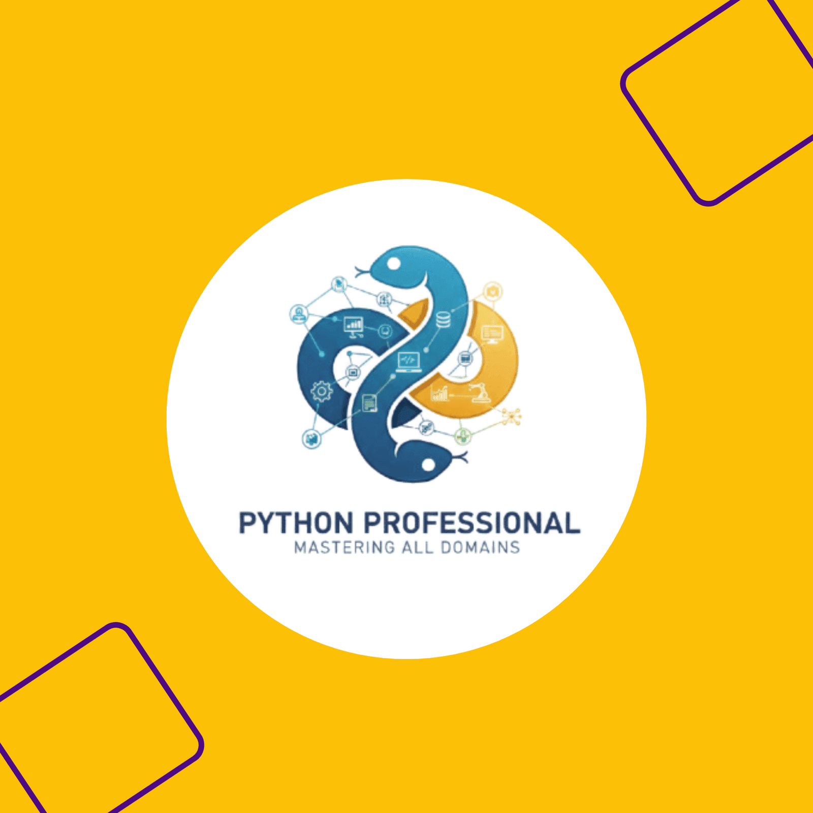 Python AI Professional